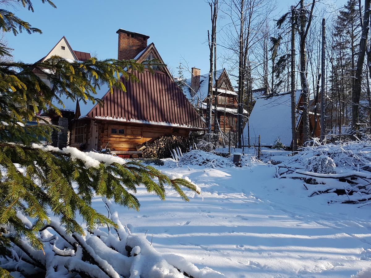 Domek Drewniany Tetmajera Centrum Zakopane Exterior foto
